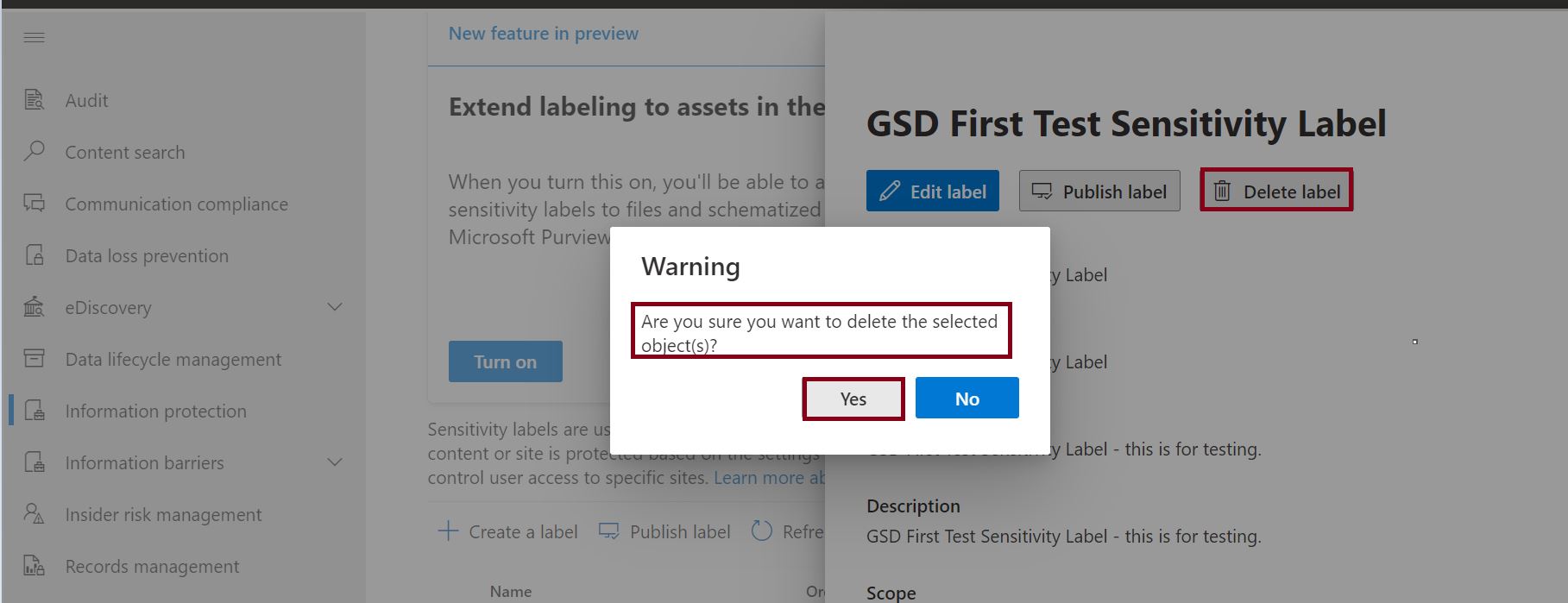 Are you sure you want to delete the selected object(s) - sensitivity label
